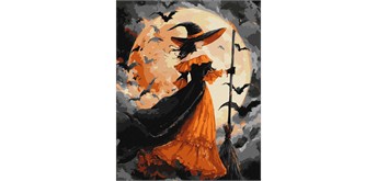 ideyka KHO8690 Malen nach Zahlen - Hexe im Mondlicht 40 x 50 cm