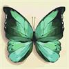 ideyka Malen nach Zahlen - Schmetterling 25 x 25 cm
