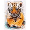 ideyka Malen nach Zahlen - Tigerjunges 30 x 40 cm