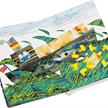 Kinderbuch 10 kleine Gummienten mit Quietsche-Entchen zum Drücken | Bild 3