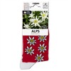 Kindersocken Alpen- Edelweiss Grösse 31 - 34
