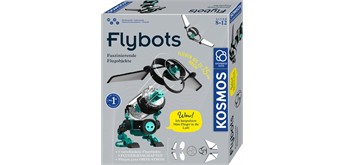 Kosmos 621339 - Flybots