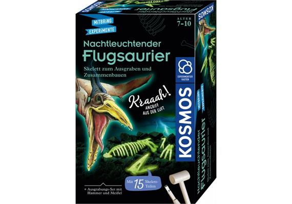 Kosmos 63616 Nachtleuchtender Flugsaurier