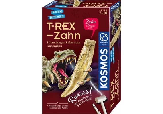 Kosmos 63617 - T-REX - Zahn