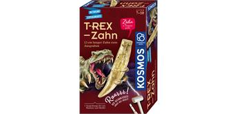 Kosmos 63617 - T-REX - Zahn