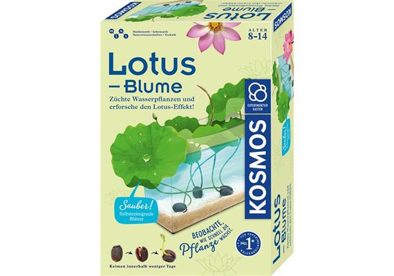 Kosmos 63727 Lotus-Blume