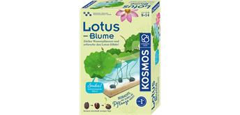 Kosmos 63727 Lotus-Blume