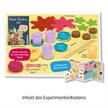 Kosmos 65781 Feen-Erdbeeren | Bild 2