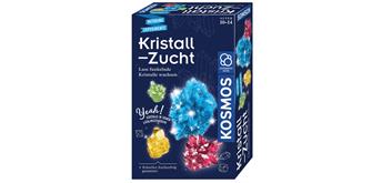 Kosmos 65784 Kristall-Zucht