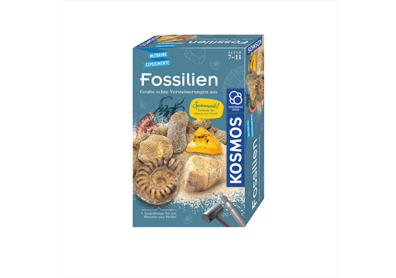 Kosmos 65791 Fossilien