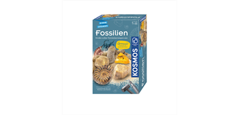 Kosmos 65791 Fossilien