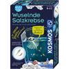 Kosmos Fun Science Wuselnde Salzkrebse