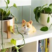 Legami - Antistress-Spielzeug Corgi | Bild 3