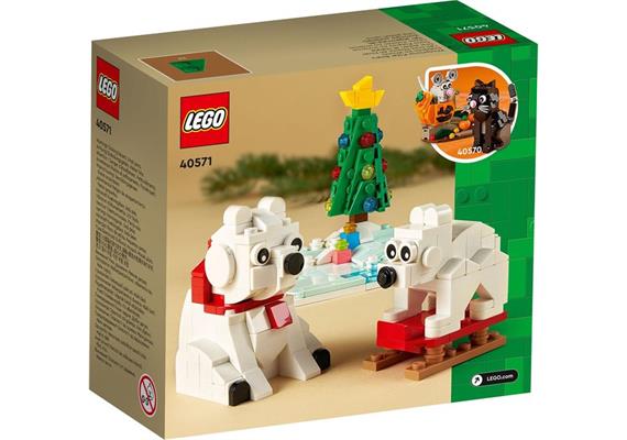 LEGO® 40571 Eisbären im Winter