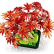 LEGO® Botanicals 10348 Japanischer Roter Ahorn – Bonsai-Baum | Bild 4