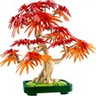 LEGO® Botanicals 10348 Japanischer Roter Ahorn – Bonsai-Baum | Bild 2