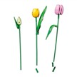 LEGO® Botanicals 11501 Tulpenstrauss | Bild 3