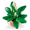 LEGO® Botanicals 11504 Friedenslilie | Bild 3