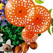LEGO® Botanicals 11505 Waldpilze | Bild 4