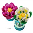 LEGO® Botanicals 11511 Seerosen | Bild 3