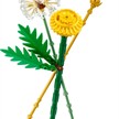 LEGO® Botanicals 30701 Feldblumen | Bild 2