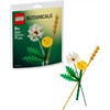 LEGO® Botanicals 30701 Feldblumen
