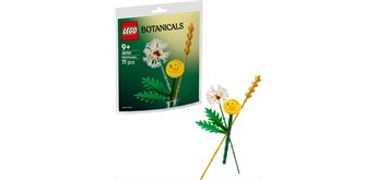 LEGO® Botanicals 30701 Feldblumen