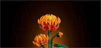 LEGO® Botanicals