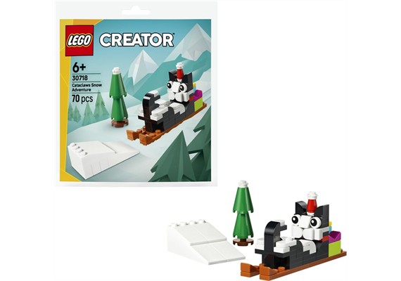 LEGO® Creator 30718 Cataclaws Schneeabenteuer
