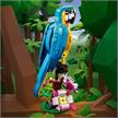 LEGO® Creator 31136 Exotischer Papagei | Bild 5