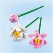 LEGO® Creator 40647 Lotusblumen | Bild 2