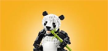 LEGO® Creator