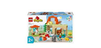 LEGO® Duplo® 10419 Imkerei und Bienenstöcke