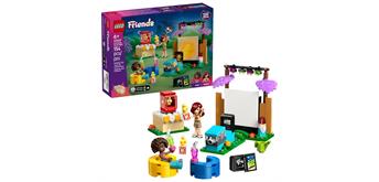 LEGO® Friends 42642 Filmabend mit Freunden