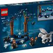 LEGO® Harry Potter 76432 Der verbotene Wald: Magische Wesen | Bild 4