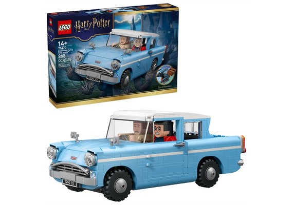 LEGO® Harry Potter 76470 Fliegender Ford Anglia™