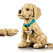 LEGO® Icons 11384 Golden Retriever Welpe | Bild 4