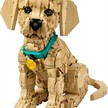 LEGO® Icons 11384 Golden Retriever Welpe | Bild 2
