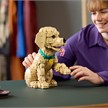 LEGO® Icons 11384 Golden Retriever Welpe | Bild 6