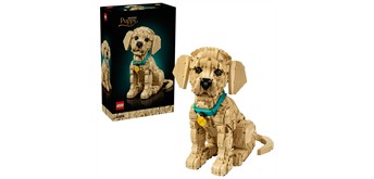 LEGO® Icons 11384 Golden Retriever Welpe