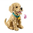 LEGO® Icons 11384 Golden Retriever Welpe | Bild 3