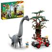 LEGO® Jurassic 76960 Entdeckung des Brachiosaurus | Bild 3