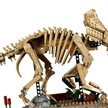 LEGO® Jurassic World 77985 Dinosaurier-Fossilien: Triceratops | Bild 2