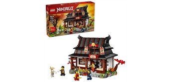 LEGO® Ninjago 71858 15-jähriges Jubiläum der Vier-Waffen