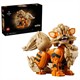 LEGO® Pokémon 72160 Arkani