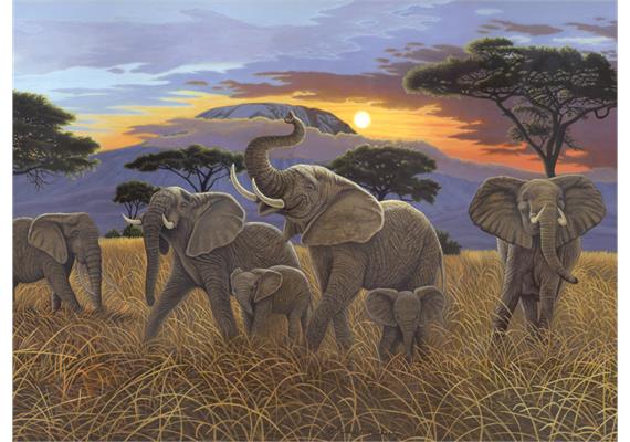 Malen nach Zahlen Junior - Elefanten - 40 x 32.5 cm