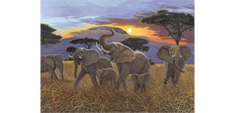 Malen nach Zahlen Junior - Elefanten - 40 x 32.5 cm