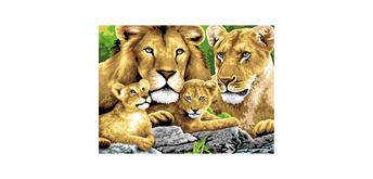 Malen nach Zahlen Junior - Löwenfamilie- 40 x 32.5 cm