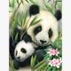 Malen nach Zahlen Junior - Panda - 33 x 24 cm