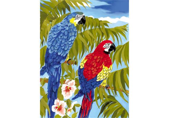 Malen nach Zahlen Junior - Papageien - 33 x 24 cm